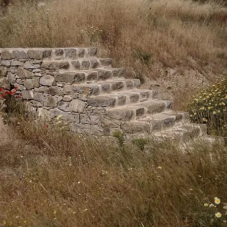 Jardin 公寓 米科利维亚