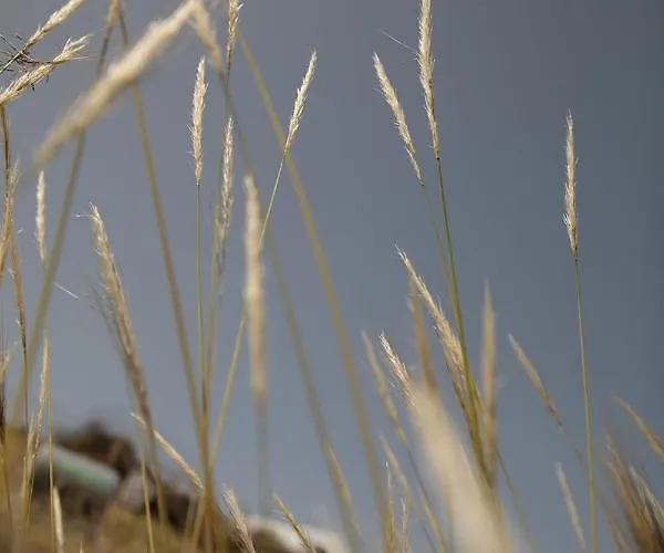 Appartement Jardin *